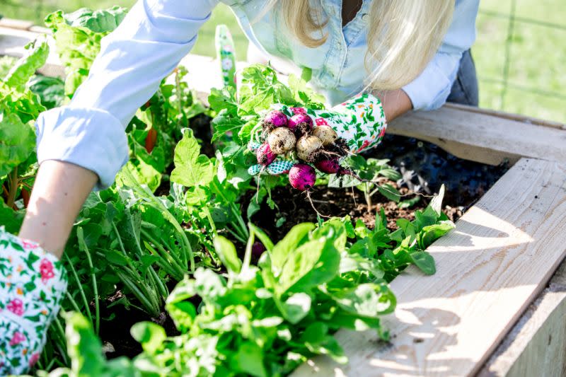 Der pflanzliche Lifestyle wird dermaßen populär, dass sogar unsere Gärten vegan werden. [Foto: Getty]