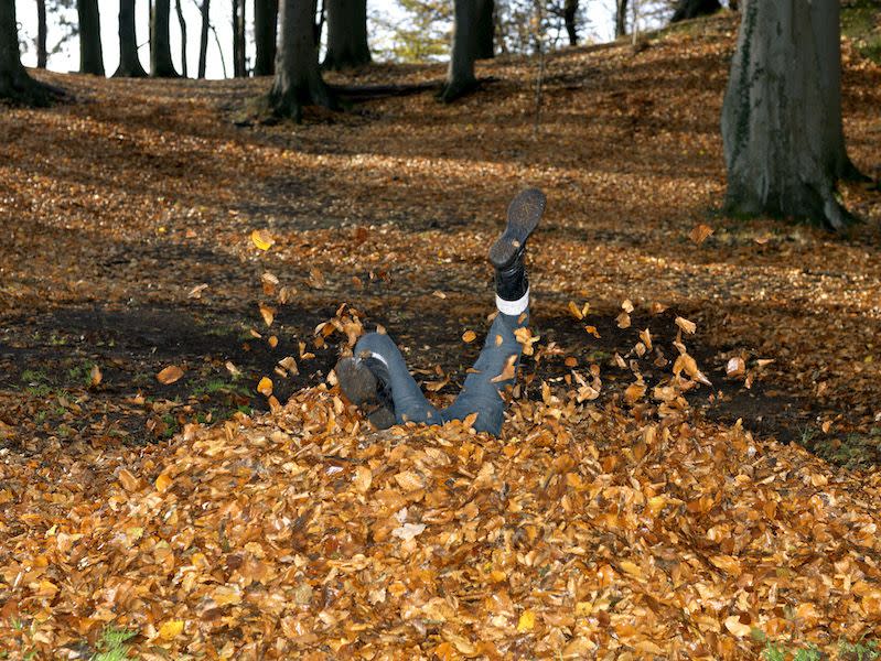 Critters in the Leaf Pile