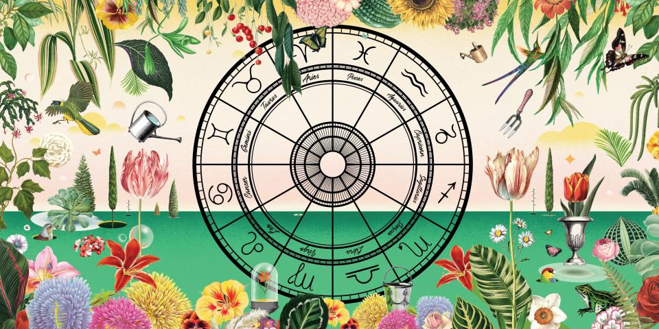 What Flower You Should Plant Based On Your Sign, According to an Astrologist