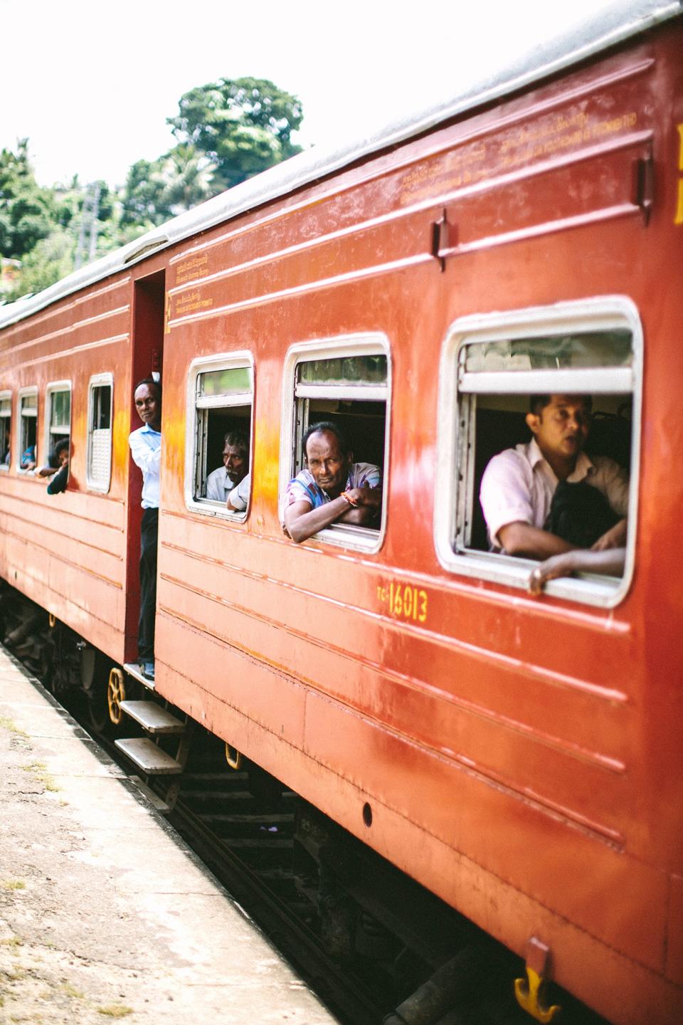 Learn about the origins of Sri Lanka's tea industry, and where it's going next, from the the hilltop town of Kandy to the forests of Hatton and the urban adventure of Colombo.