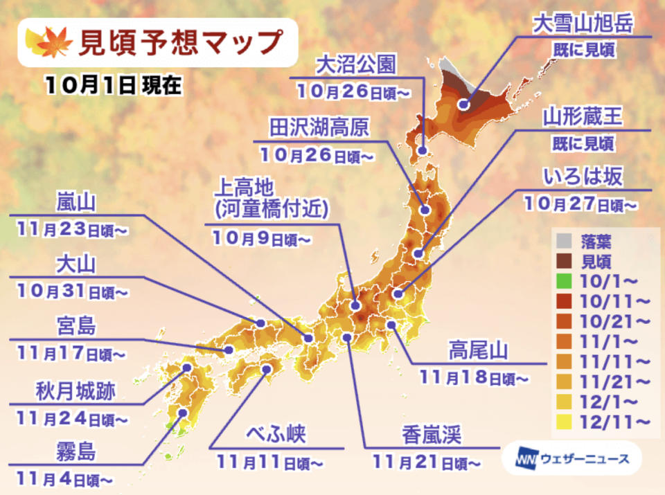 日本weathernew表示今年日本紅葉沒有受猛暑及大雨影響狀態良好，鮮艷的顏色令人期待。