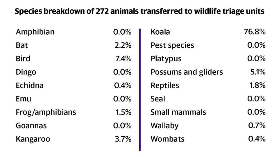 A list of animals transferred to wildlife triage units. 