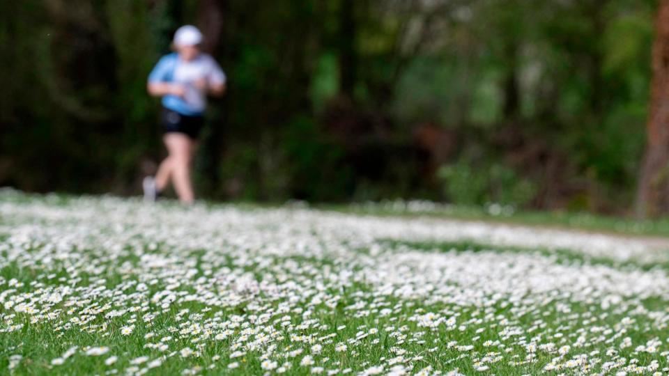 PHOTO: GERMANY-WEATHER-SPRING-FEATURE (Thomas Kienzle/AFP /AFP via Getty Images)