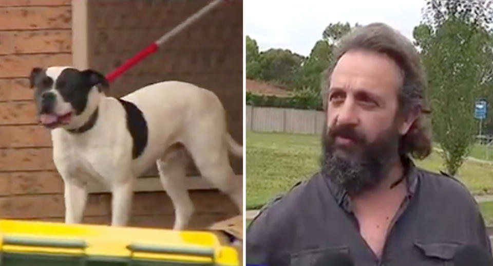 Father Karl Martig (right) praised his wife for saving his son from a neighbour's dog (left)