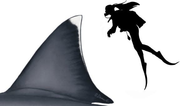 megalodon fin