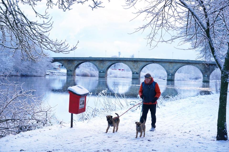 A man walks dogs in snowy conditions in a park in Hexham. (PA)