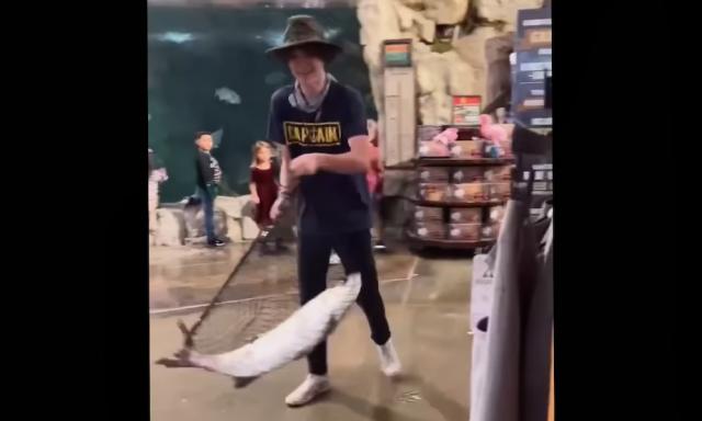 Man who stole live 50-pound tarpon from Bass Pro Shops yet to be found -  Yahoo Sports