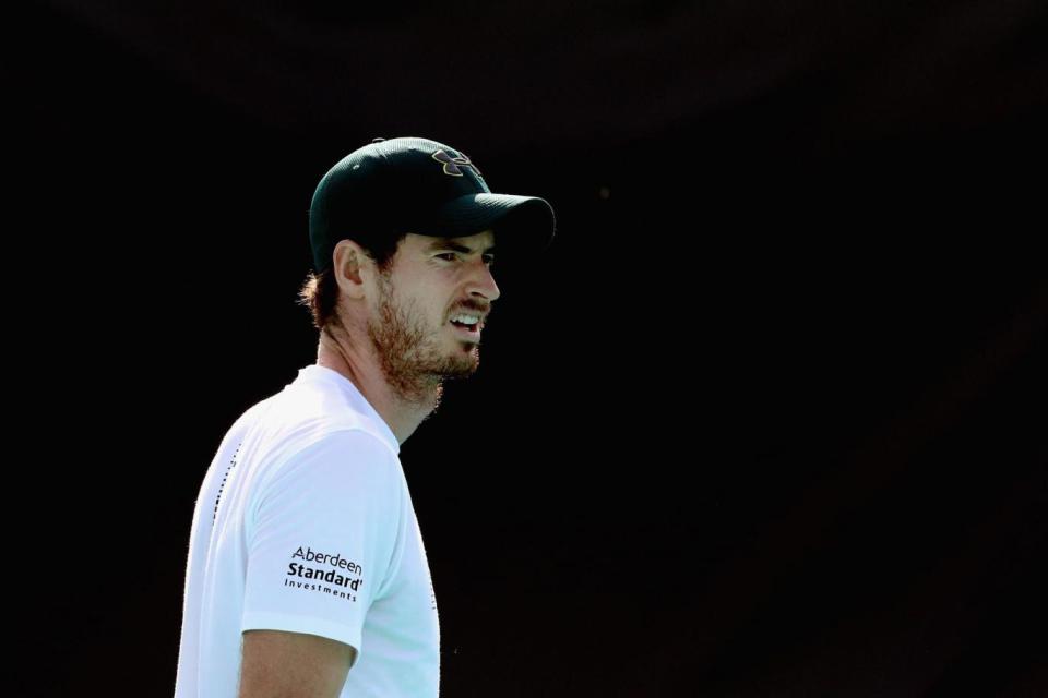 Back on court: Andy Murray (Getty Images)