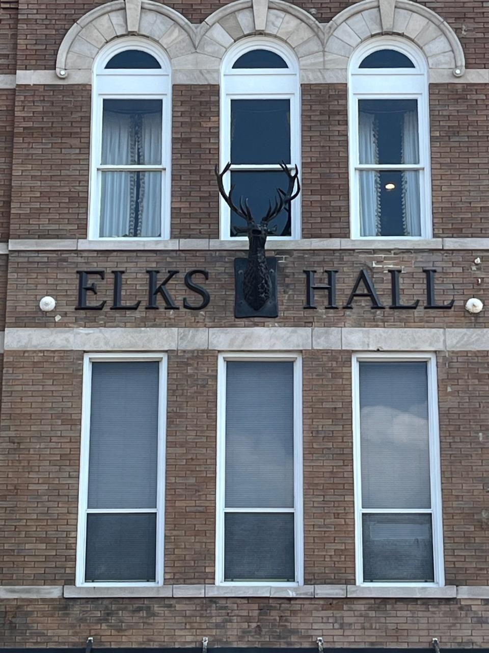 The former Elk head has returned to Main Street in downtown Hattiesburg.