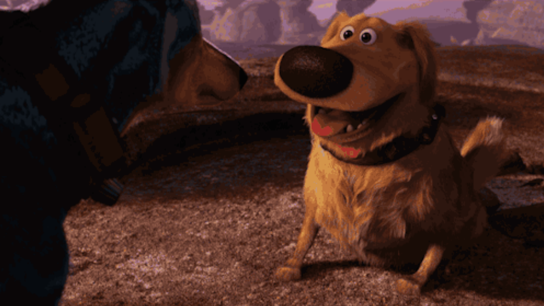 Scheur Ondeugd Briesje Turn your dog into Dug from 'Up' using this Snapchat filter