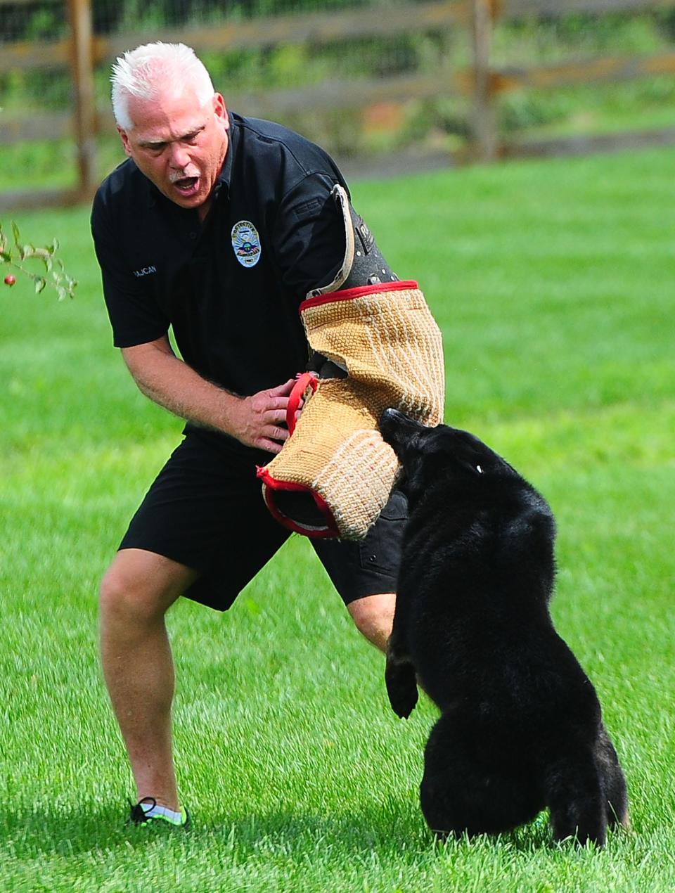 Alliance Police detective Bob Rajcan works with K-9 Xander during a demonstration at the Bark in the Park event Sunday, Sept. 10, 2023, at Alliance's Coastal Pet-Burnell Dog Park.