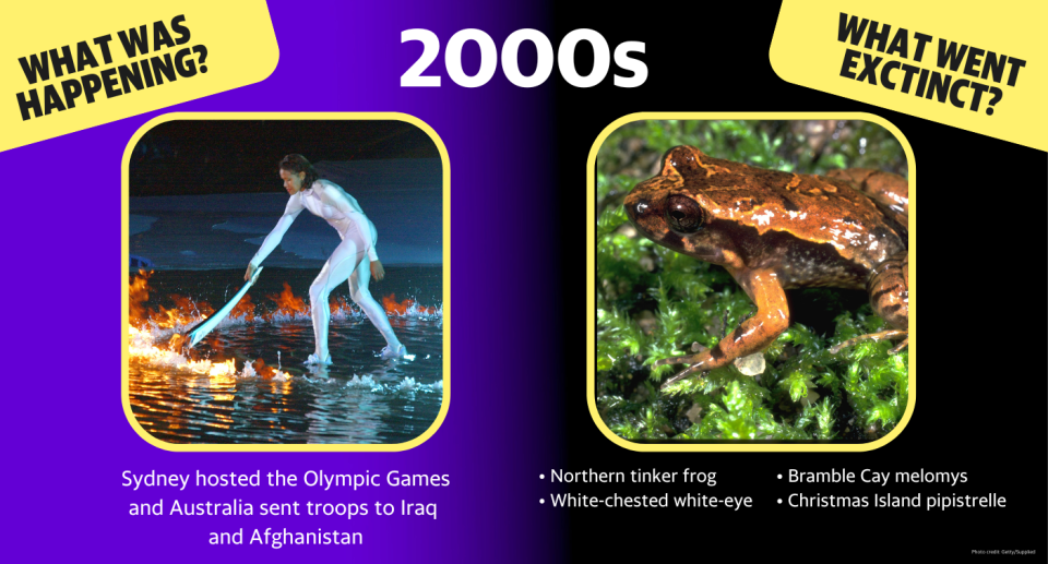 In the 2000s, Sydney hosted the Olympic Games, Australia sent troops to Iraq and Afghanistan.   Extinctions: Northern tinker frog, white-chested white-eye, Christmas Island pipistrelle, Bramble Cay melomys.