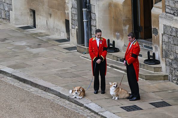 The Queen's corgis, Muick and Sandy are walked inside Windsor Castle on September 19, 2022, ahead of the Committal Service for Britain's Queen Elizabeth II. (Photo by Glyn KIRK / POOL / AFP) (Photo by GLYN KIRK/POOL/AFP via Getty Images)