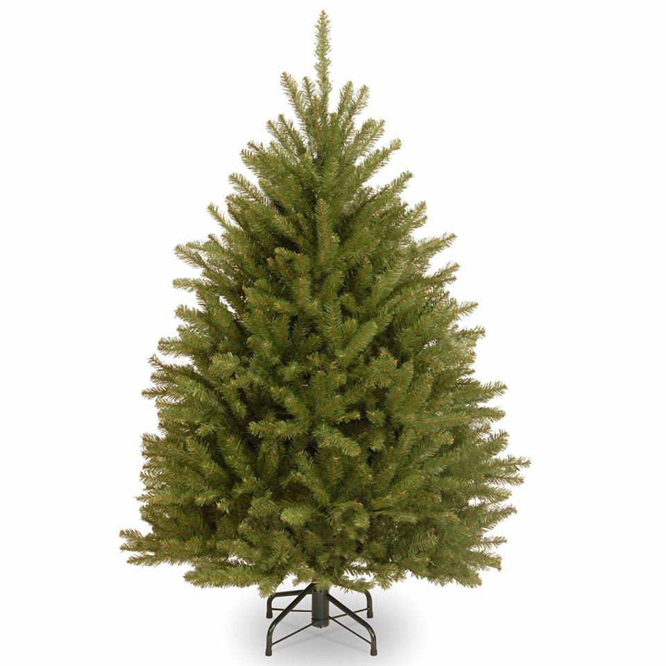 A Top-Rated Christmas Tree