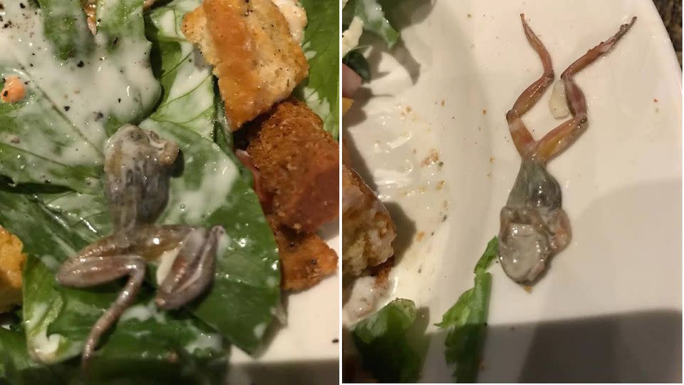 The baby frog was found insie Shawna Cepda's meal. Source: Yelp