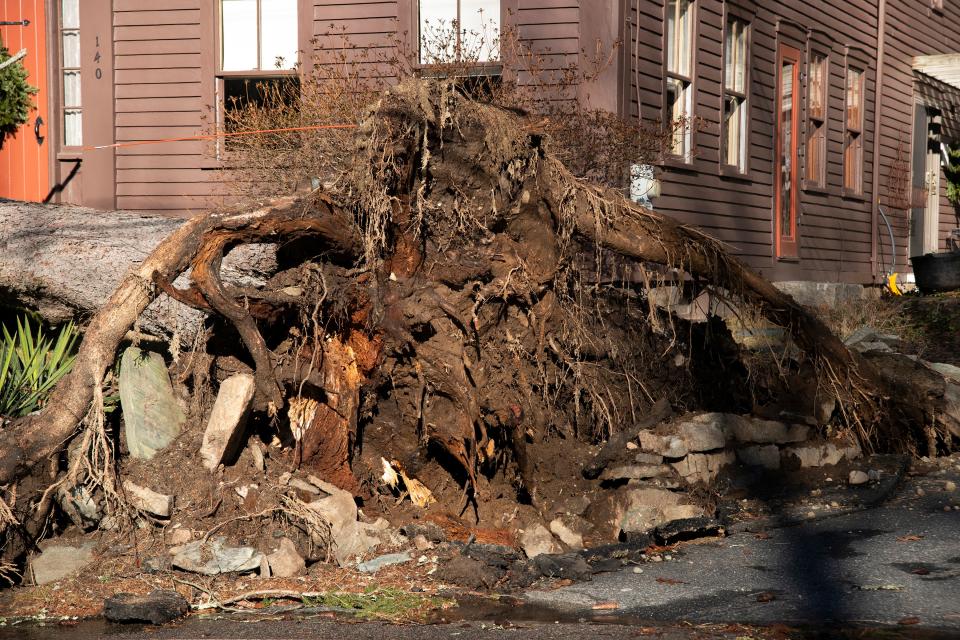 The historic Leland-Carter House at 140 Maple Street in Sherborn, built in 1775, was damaged when a large tree was toppled during Monday’s storm.