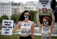 PETA protests against the cruelty of the dairy industry at Place de la Nation square in Paris