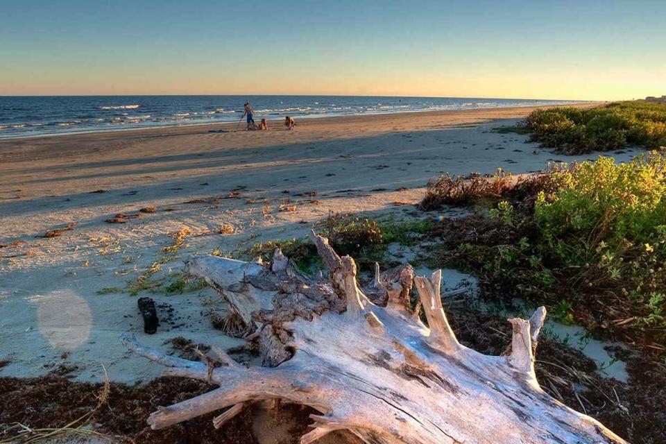 Galveston Island State Park