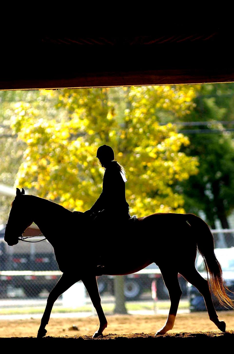 Warming up for the Jr. fair saddle horse show in the coliseum during ladies day at the Ashland County Fair Wednesday.