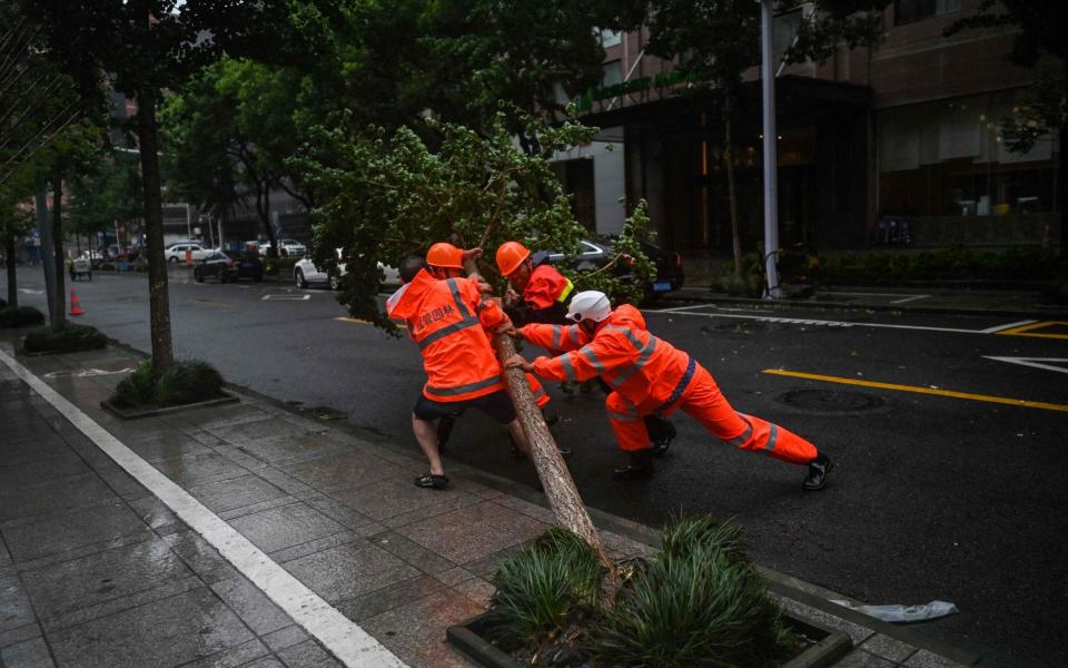 Workers attempt to move a fallen tree due to strong winds in Ningbo, eastern China's Zhejiang province, on July 25, 2021, ahead of Typhoon In-Fa's expected landfall in the region - AFP