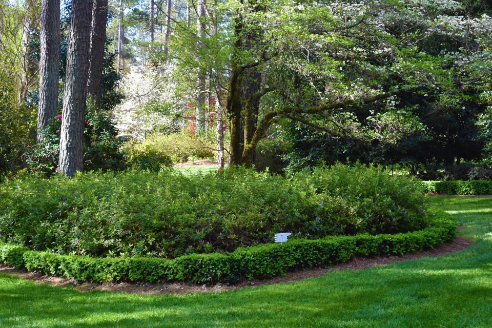 A sign directs visitors along the paths through Betty Montgomery's garden in Campobello SC, during Garden Conservancy Open Day in April 2022