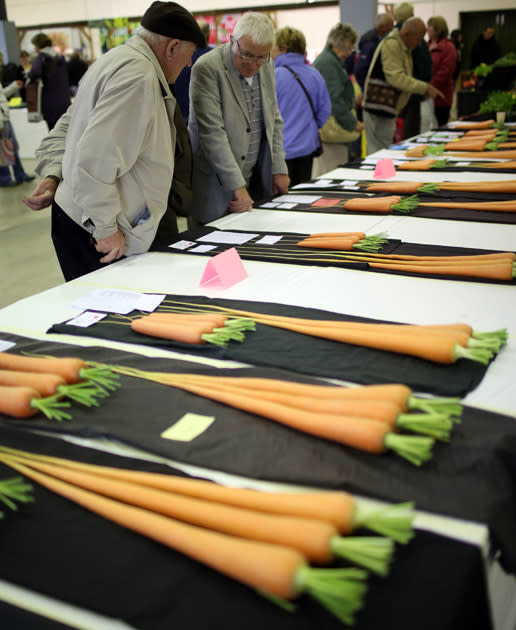 The Annual Harrogate Autumn Flower Show