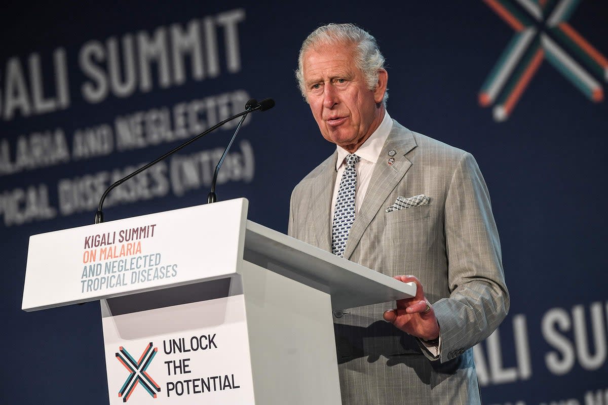 Prince Charles   (AFP via Getty Images)