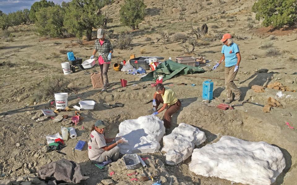 Researchers prepare fossils to be airlifted from the Rainbows and Unicorns Quarry on Grand Staircase-Escalante National Monument  - Bureau of Land Management