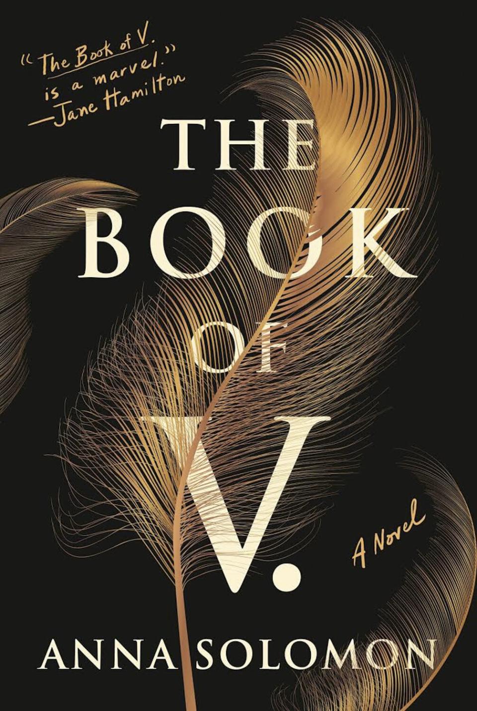 The Book of V by Anna Solomon