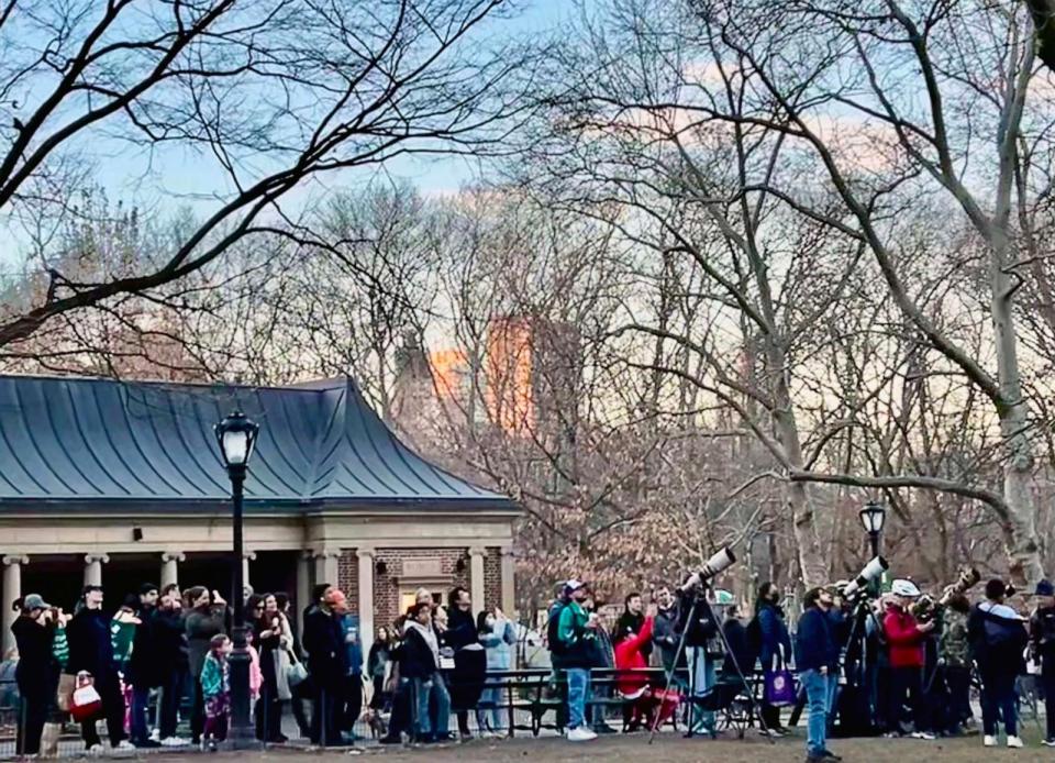 PHOTO: A large crowd of birdwatcher's flock to Central Park, Feb. 10, 2023, to catch a glimpse of Flaco, the Eurasian eagle owl who escaped from its vandalized enclosure at the Central Park Zoo. (Lisa Amand)