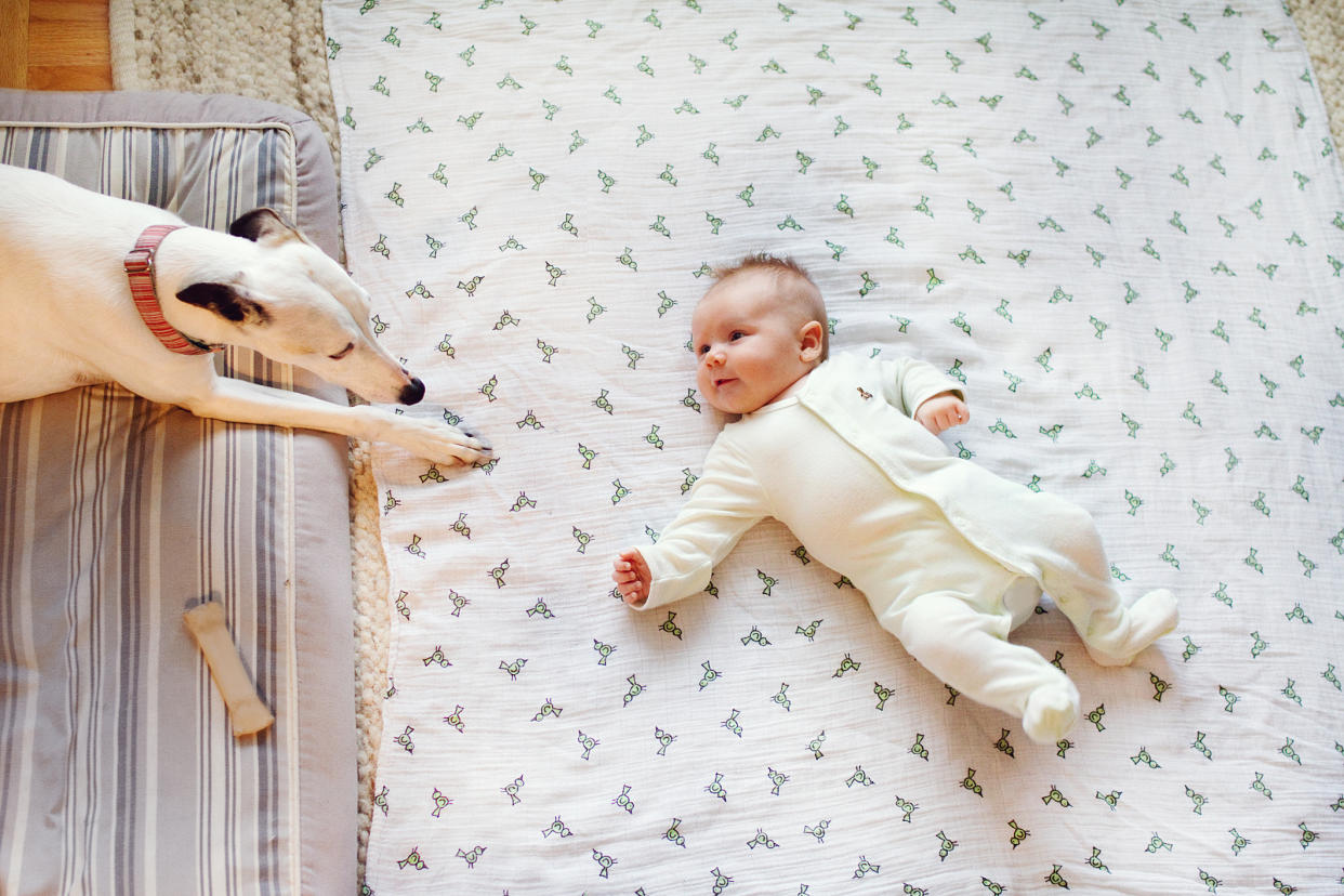 A baby with a dog