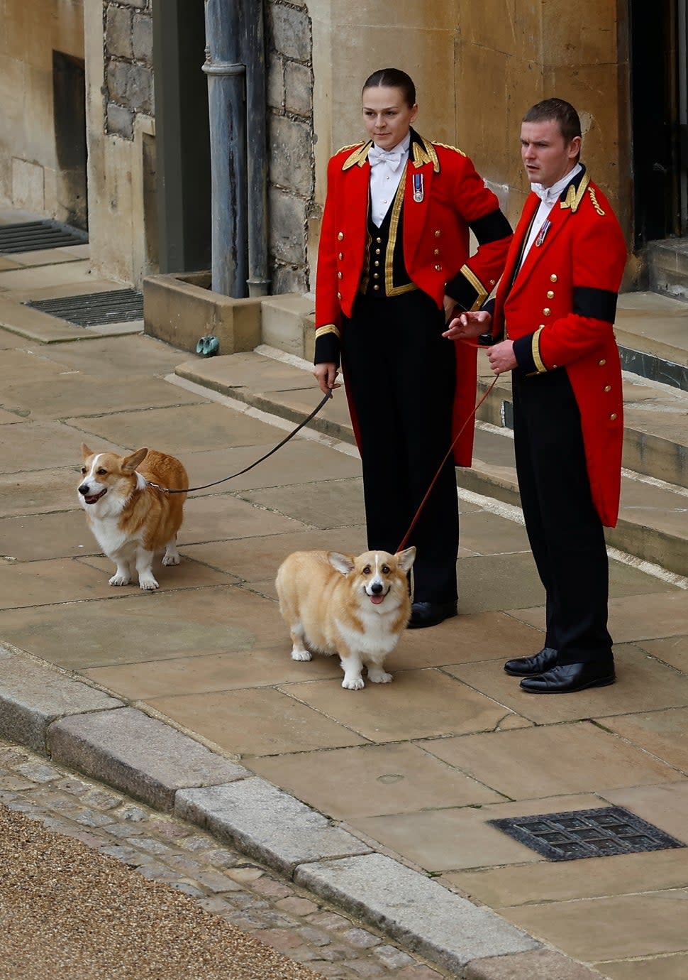 Queen Elizabeth II's corgis