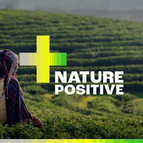 自然正值。 圖片來源：Nature Positive Pavilion