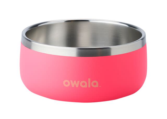 <p>Owala</p> Owala Pet Bowl