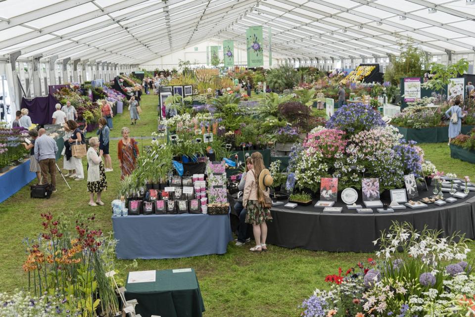 general shots of visitors inside the floral marquee at rhs hampton court palace garden festival 2019