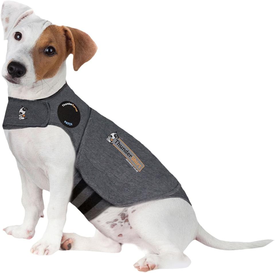 Make your good boy (or girl) all warm and snuggly in a Thundershirt Classic Dog Anxiety Jacket. (Photo: Amazon)