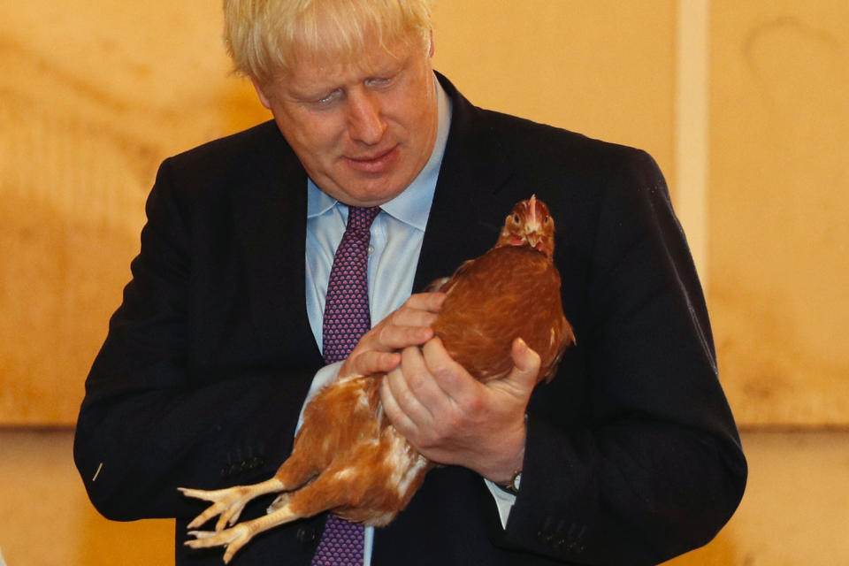 Britain's Prime Minister Boris Johnson inspects the poultry during his visit to rally support for his farming plans post-Brexit, at Shervington Farm, St Brides Wentlooge near Newport, Wales, Britain July 30, 2019. Adrian Dennis/Pool via REUTERS