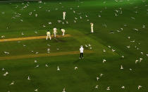 <p>A flock of seagulls throng the air during day two of the Sheffield Shield match between Victoria and Tasmania at Melbourne Cricket Ground. (Getty Images) </p>