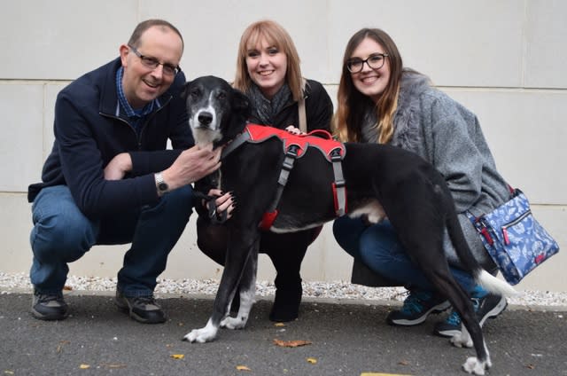 Britain's 'loneliest' dog finally gets a forever home