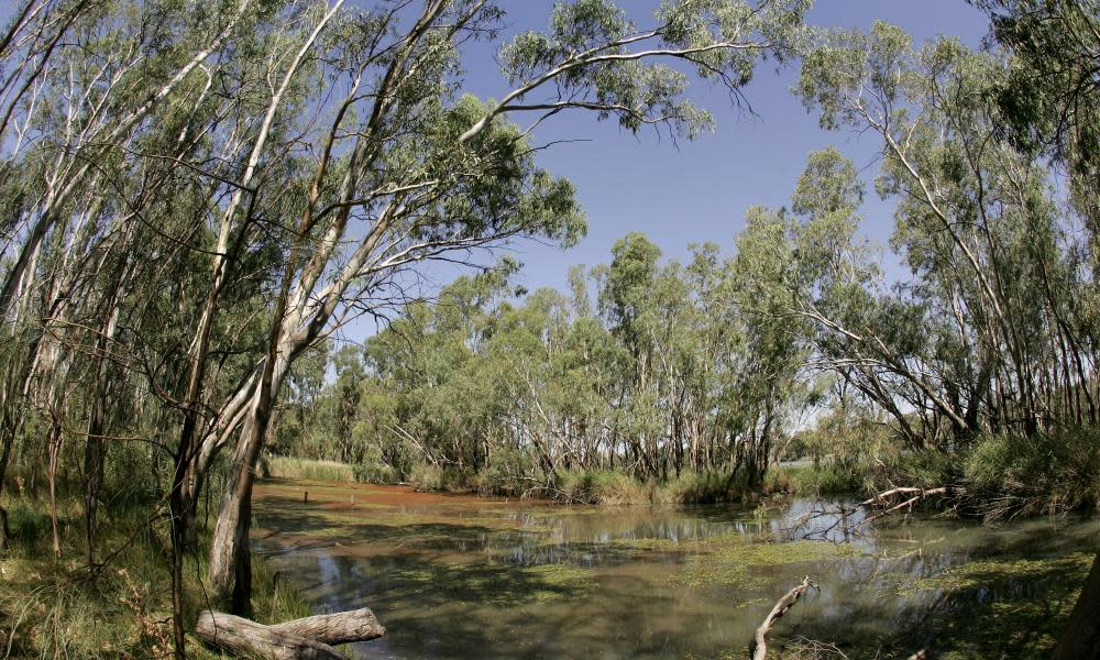 Murray-Darling basin