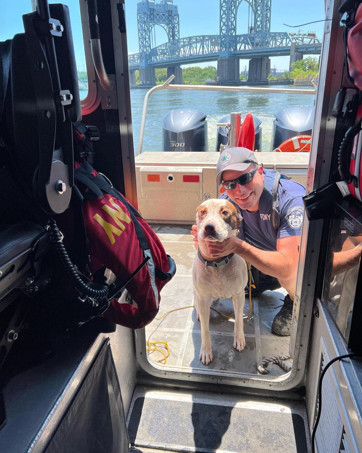 FDNY Dog Rescue