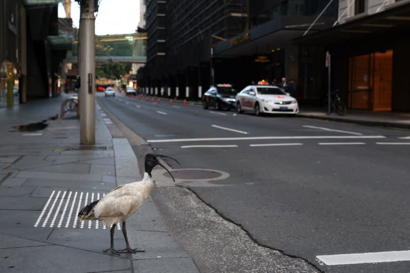 A COVID-19 lockdown remains in place as outbreak of cases affects Sydney