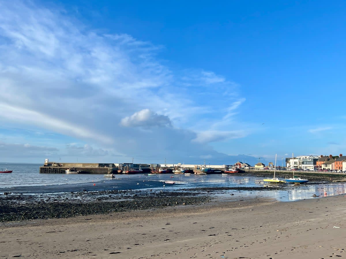Scenic joy: Skerries Harbour, County Dublin (Simon Calder)