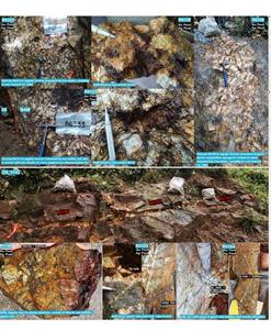 Photos of Various Surface Exposures of Angular Breccia Discovered to the North and East of Drill Pad 3