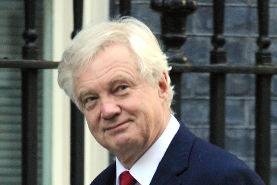 Brexit Secretary: David Davis said some industries depend on foreign workers: PA