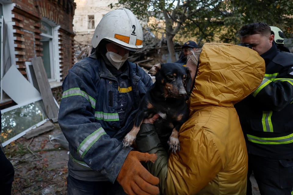 A rescuer gives a local woman her dog at the site of a residential building heavily damaged by a Russian missile strike (REUTERS)