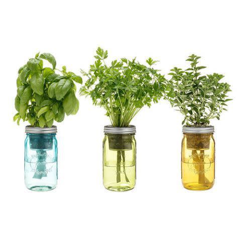 7) Mason Jar Indoor Herb Garden