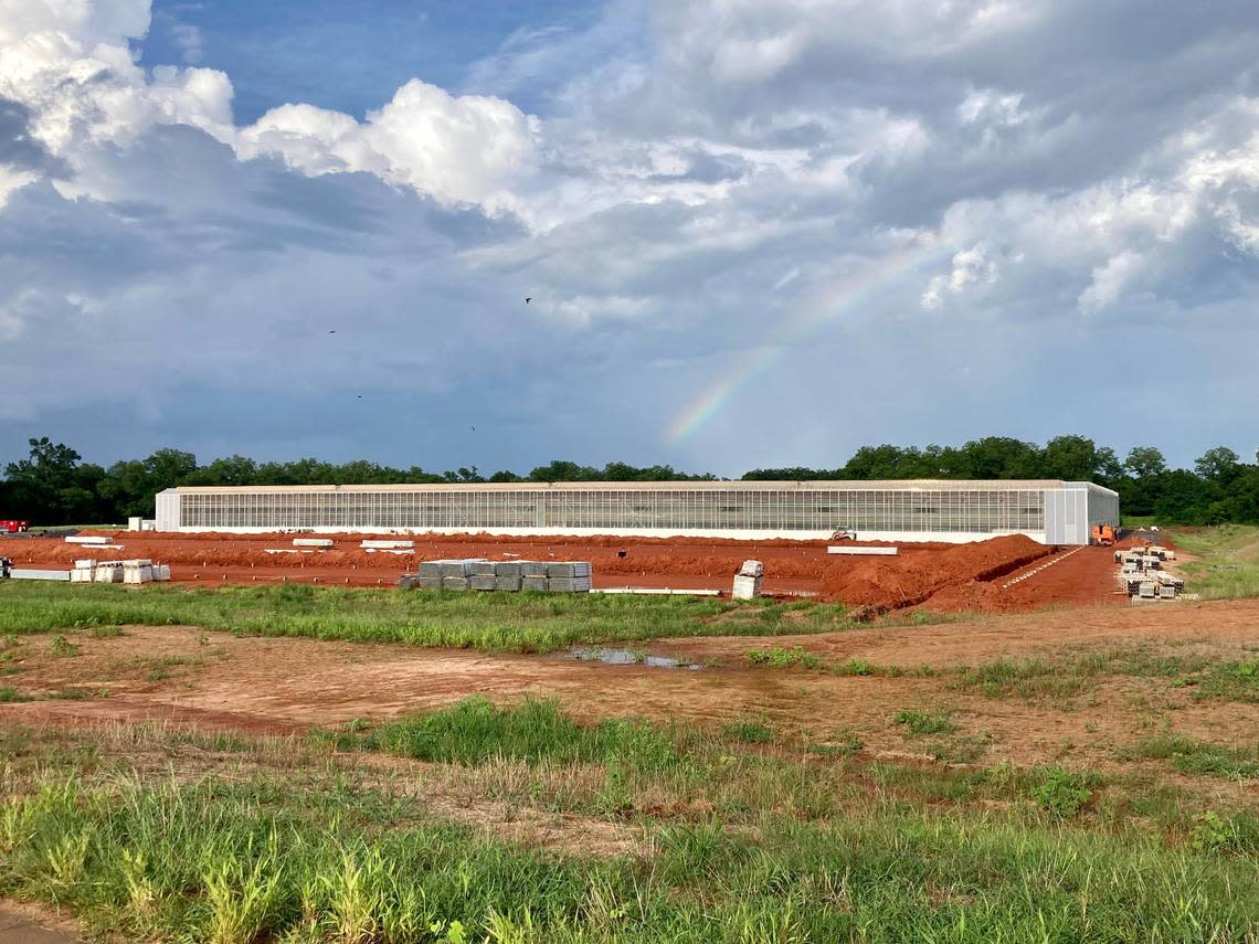 Local Bounti acquired Hollandi Produce Group, which operated under the name of Pete’s, effective April 4, and announced on July 14, the “commencement of farming operations” at the hydroponic greenhouse. This photo was taken July 14.