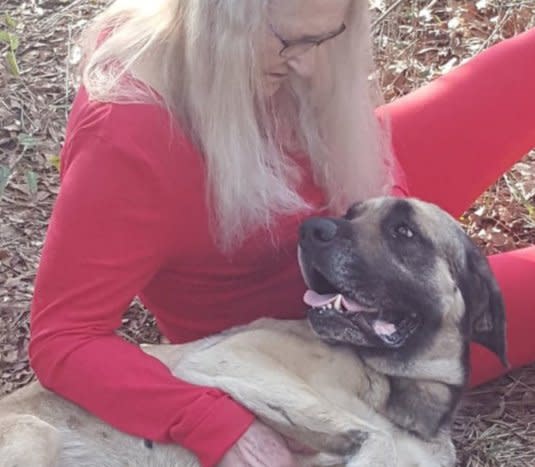 Rayla reunited with her owner after 16 months. (Photo: GoFundMe)