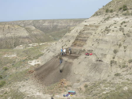 A field crew systematically excavates a bonebed containing the Wendiceratops pinhornenis dinosaur in Manyberries, Alberta in an undated photo released by the Cleveland Museum of Natural History. REUTERS/Michael Ryan/Cleveland Museum of Natural History/Handout via Reuters